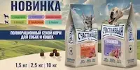 Счастливый кот