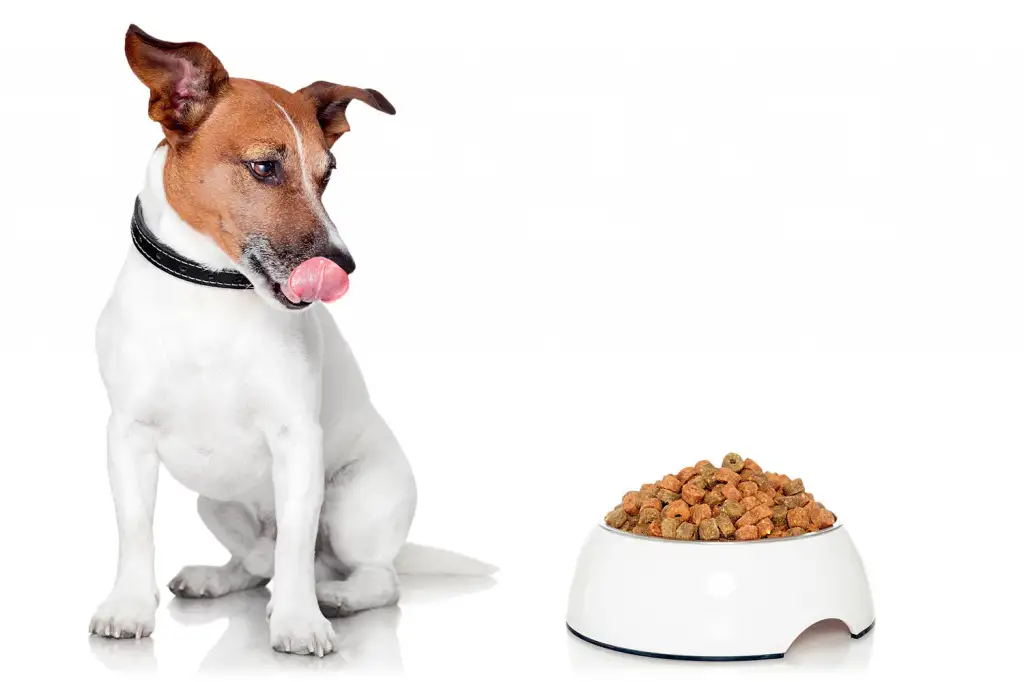 7.jpg 7.jpg