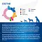 Monge VetSolution Dog Renal and Oxalate сухой корм для взрослых собак всех пород при ХПН #3