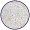 Cat Step Compact White Lavender наполнитель для кошек комкующийся минеральный с ароматом лаванды #2