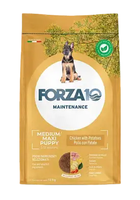 Forza10 Maintenance Medium/Maxi Puppy сухой корм для щенков средних и крупных пород и сук в период беременности и лактации, с курицей