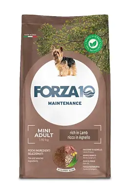 Forza10 Maintenance Dog Adult Small/Medium сухой корм для взрослых собак мелких пород, ягненок с рисом
