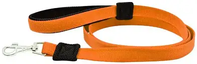 ZOOexpress Fresh Line поводок с мягкой ручкой для собак, апельсиновый